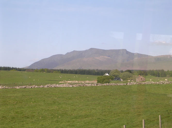 DSCN1253