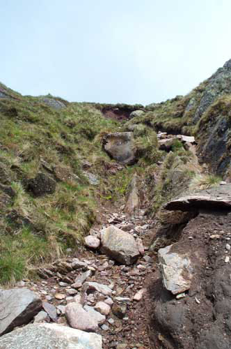 Red-Screes-210505-005