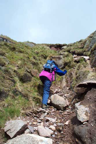 Red-Screes-210505-006