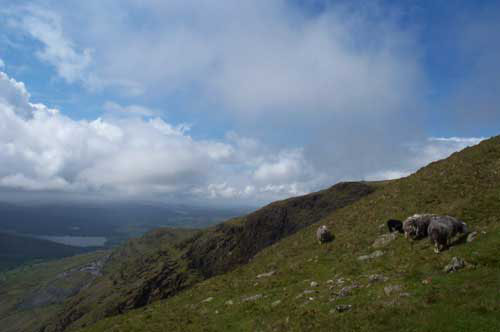 Red-Screes-210505-013