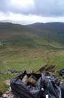 Red-Screes-210505-004