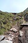 Red-Screes-210505-005