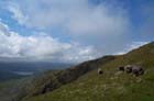 Red-Screes-210505-013